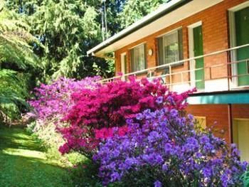 Motel The Warby, Where Mid-century Style Meets The Mountains 3*