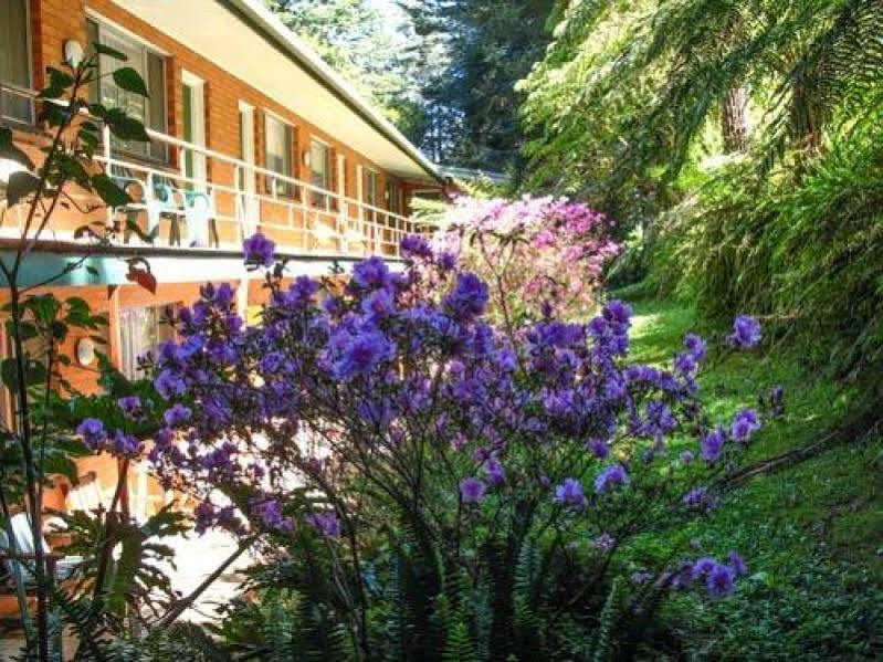 Motel The Warby, Where Mid-century Style Meets The Mountains 3*